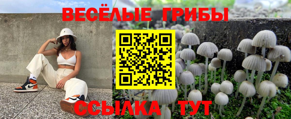 Псилоцибиновые грибы мухоморы Видное